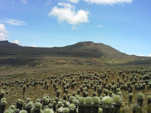 VILLA DE MOYA HOTEL MONGUI