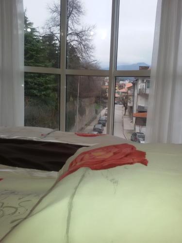 Sandanski Peak Guest Rooms - image 7