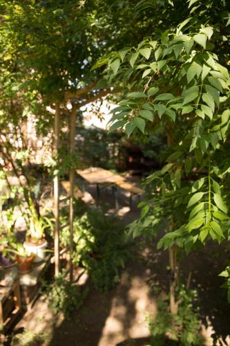 Ferienwohnung Winternest, Drážďany (fotografie 8)