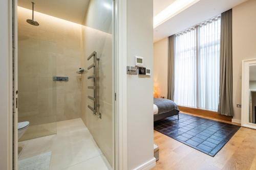 Three Bed Luxurious Leicester Square Duplex - image 6