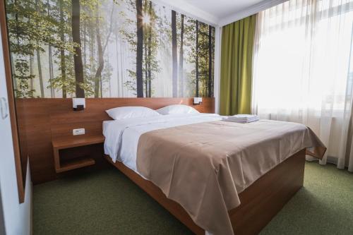 Hotel Comat Deva, Deva (foto 3)