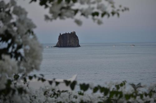Casa Francesca - image 9