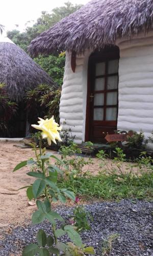 Eco Jerimagia