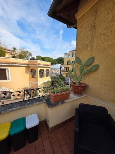 GuestHouse Aurora ML 4