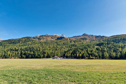 Chesa Allegria - Sils Maria - main image
