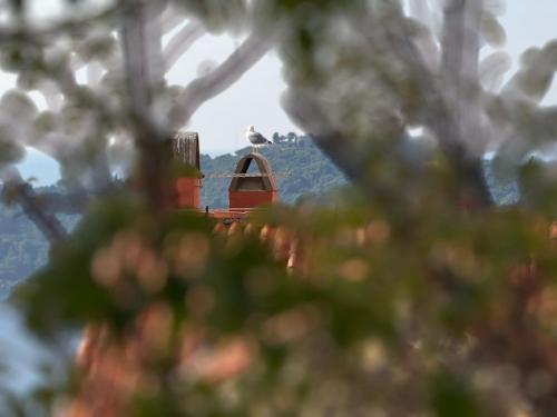 Lea - sea&city view Apartment with Terrace