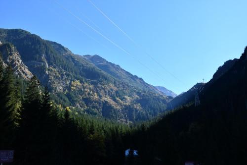 Balea Teleferic, Cîrţişoara (fotografie 8)