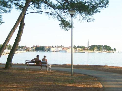 ZELJKO Nr1 from the beach 800 m