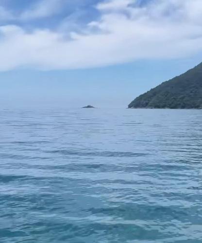 Apartamento completo a 50 mt da Praia da Enseada in Bertioga Apartamento completo a 50 mt da Praia da Enseada in Bertioga