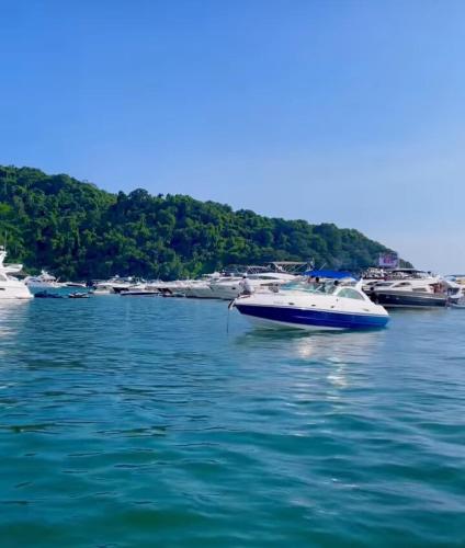 Apartamento completo a 50 mt da Praia da Enseada in Bertioga Apartamento completo a 50 mt da Praia da Enseada in Bertioga