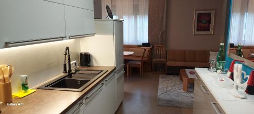 köök, Apartement Gabi in Kleinlobming