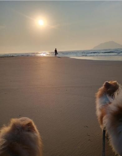 Rosa dos ventos suite 3 in Lagoa da Conceicao