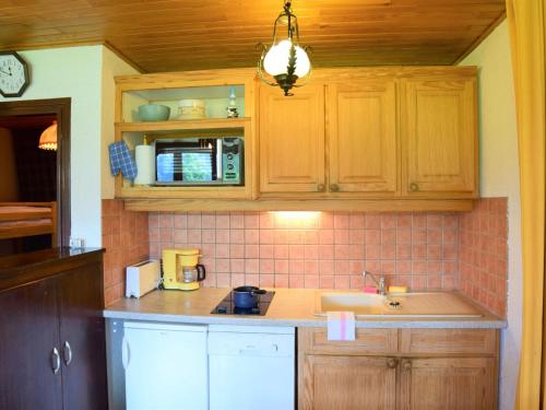 Appartement Les Deux Alpes 1 pièce 4 personnes - FR-1-516-47 - image 9