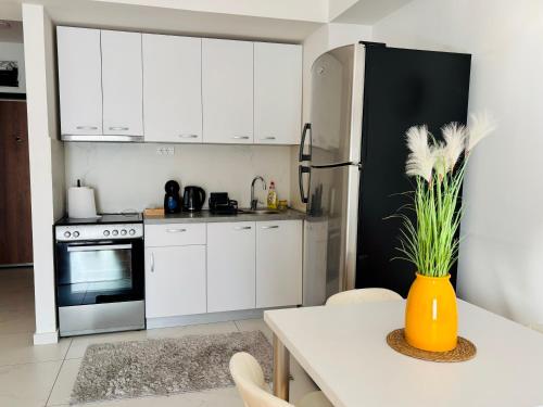 Cozy Apartment near City Center, Skopje (photo 10)