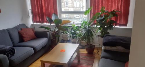 Beautiful king room in Leith Walk, Edinburgh (photo 2)