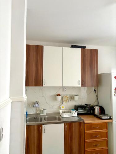 บริการและสิ่งอำนวยความสะดวก, Apartman Nina 2 BANOVO BRDO in ชุการิกา