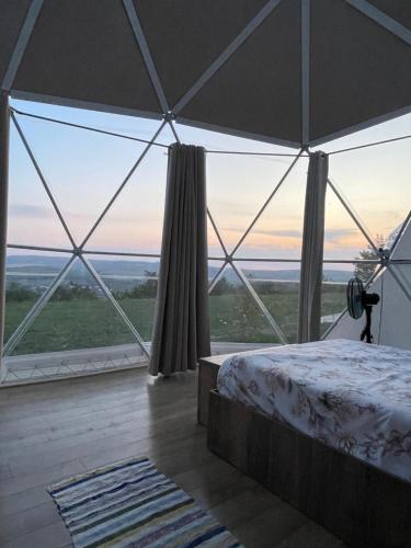 Book the Tent Tent
