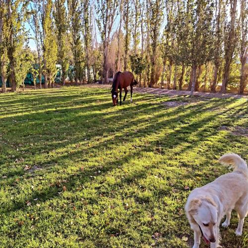 Mi Refugio in 비야 헤네랄 산 마르틴