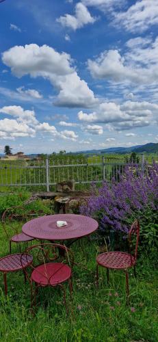 La Roue, logement indépendant, jolie vue gîte à louer Tarare