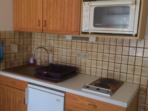 Appartement Villard-de-Lans 2 pièces 4 personnes - FR-1-515-77 - image 6