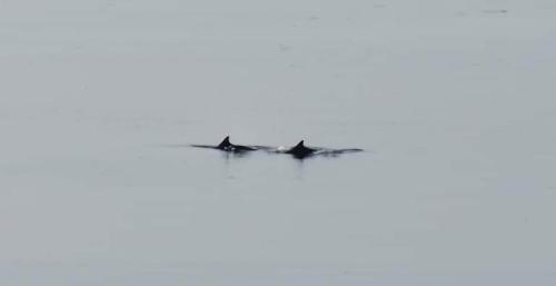 ทัศนียภาพ, Flat by the sea with great view in เพตตีเคอร์