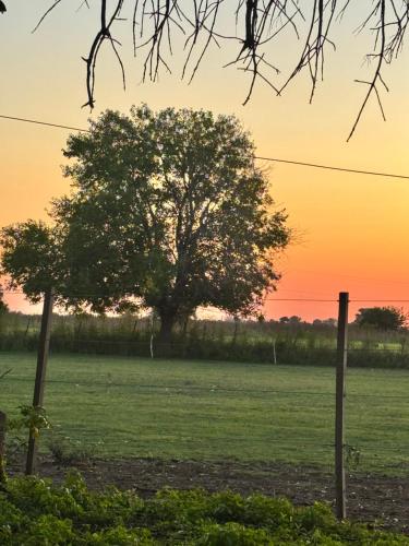 No alquilar in Azcuenaga