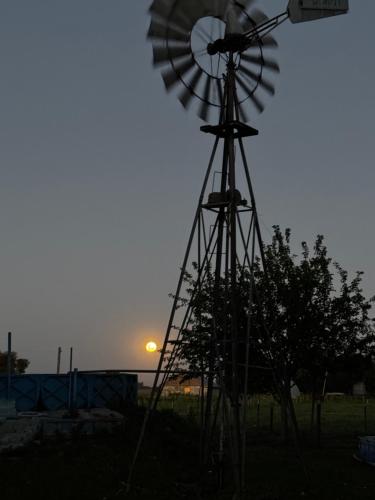 No alquilar in Azcuenaga