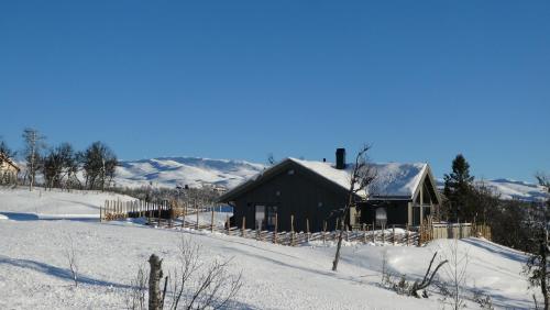 . NEUE Fjellhytte