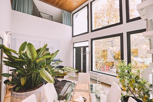 Bildstein's "Kathmandu" Bildstein's "Kathmandu"