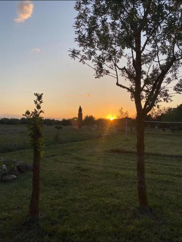 Garden, Les terrasses de la piscine in Agde