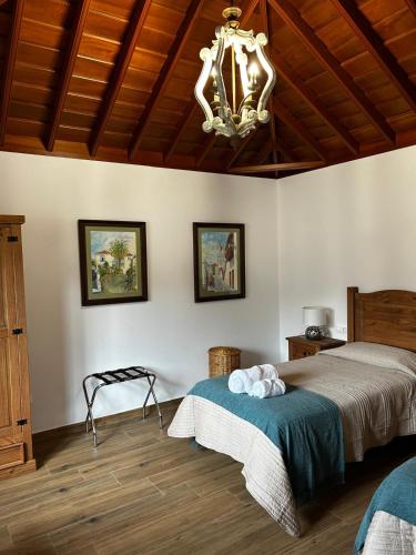Villas Morera 4