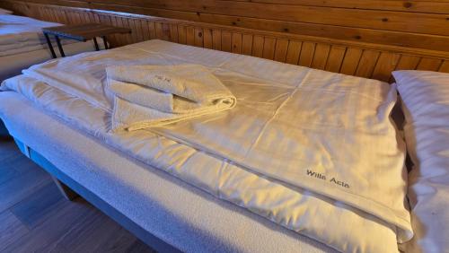 Willa Asia - apartamenty, Szklarska Poręba (photo 6)