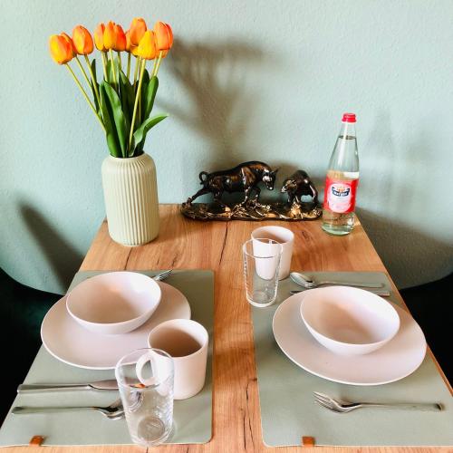 Comfortable City Appartement, Drážďany (fotografie 6)