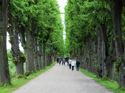 Wohnung in Boltenhagen in Strandnaehe