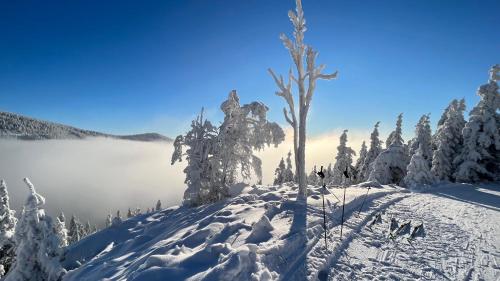 apartmán pod turbínou (apartman pod turbinou) in Loucna Nad Desnou