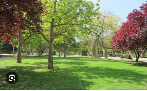 Mestalla flats & Rut