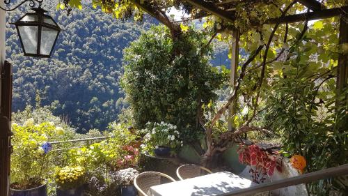 Balkons/terase, Monte Riga in Cursolo-Orasso