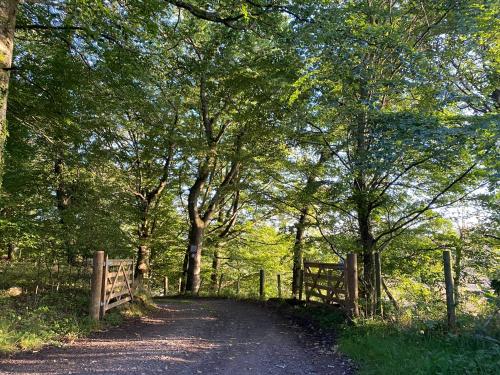 Spacious cottage - walk to Crieff, Crieff (fotografie 2)