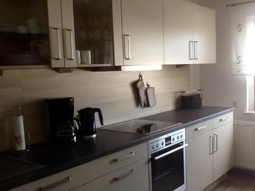 Konyha, Ferienhaus Gunther in Aue