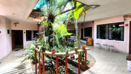 View, Hotel Arte Natura in La Fortuna