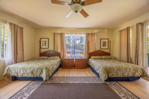 Volcano Forest Inn - image 6