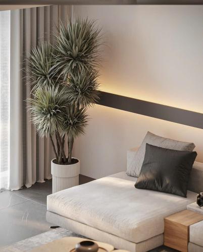 One-Bedroom Apartment image 10