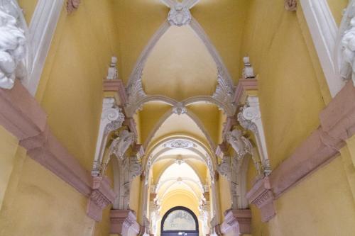 Authentic Grand Boulevard - image 7