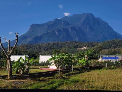 Lhong Khao - Chiang Dao - 주변 환경