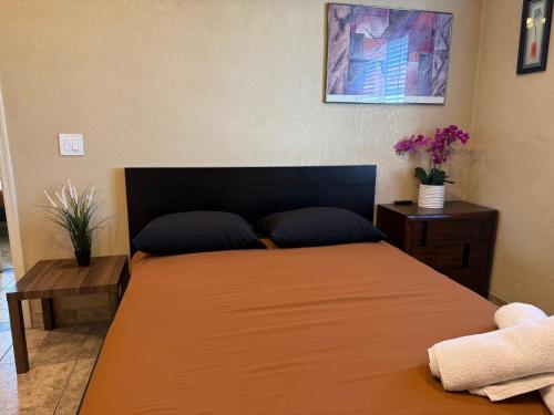 3 Bedroom, 2 Bath Whole House, Arizona State Univ, Tempe, Mesa Scottsdale on Light Rail, Dogs ok, Work Space, Mesa (photo 7)