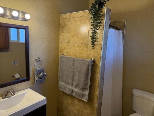 3 Bedroom, 2 Bath Whole House, Arizona State Univ, Tempe, Mesa Scottsdale on Light Rail, Dogs ok, Work Space, Mesa (photo 3)