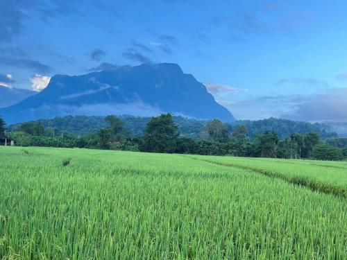 Lhong Khao - Chiang Dao - 주변 명소