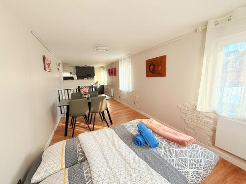 Duplex Fleckenstein - Centre Historique de Haguenau in Haguenau Városközpont