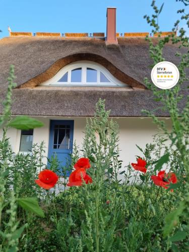 Reetsnacker - Ferienhaus mit Kamin, Sauna und Whirpool für 8 Personen, Pepelow