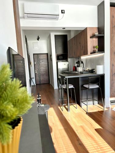 District Center Urban Apartment, Skopje (foto 4)